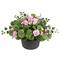 Haute Decor 24" Pink Wild Geranium Urn Filler With Adjustable Height